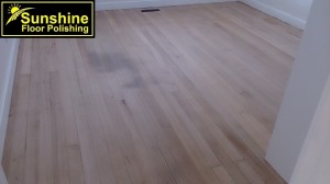 e1
